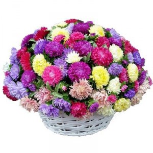 101 multi-colored aster in a basket — KievFlower - flowers to Kiev & Ukraine 