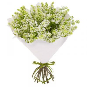 Bouquet of white lilac — KievFlower - flowers to Kiev & Ukraine 