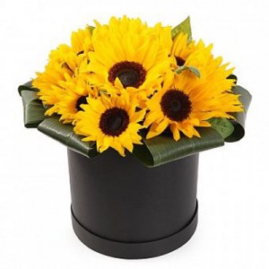 Шляпная коробка с подсолнухами " Солнце " — Kievflower - Доставка цветов