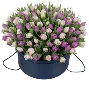 151 тюльпан в шляпной коробці — Kievflower - Доставка квiтiв