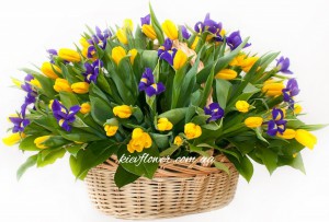 Весеннее настроение — KievFlower - flowers to Kiev & Ukraine 