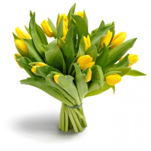 Букет из 31 желтого тюльпана — Букеты цветов заказать с доставкой в KievFlower.  Артикул: 0563
