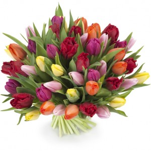 Букет тюльпанов "Радуга" - 51 шт. — Букеты цветов заказать с доставкой в KievFlower.  Артикул: 0571