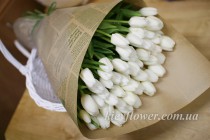 Букет 51 білого тюльпана