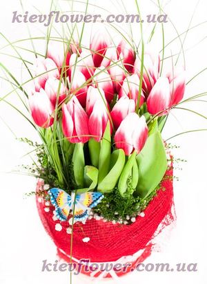 "Tulip Garden" - Order bouquets of flowers with delivery on KievFlower. Reference: 0755