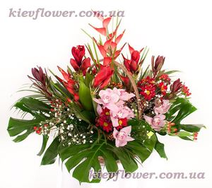 Екзотичний кошик "Червона розкіш" — Букети квітів купити з доставкою в KievFlower.  Артикул: 0902