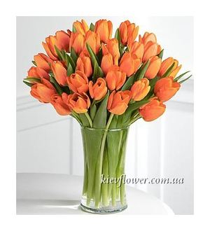 Букет из 31 оранжевого тюльпана — Букеты цветов заказать с доставкой в KievFlower.  Артикул: 0556