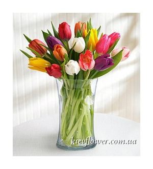 Offer! Tulips Mix 25/19 pcs - Bouquets of flowers order with delivery in KievFlower. Reference: 8882