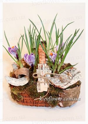 Forestry basket with crocuses - MARCH 8 - Corporate gifts order delivery in KievFlower. Reference: 1817