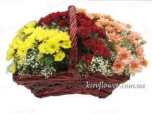 Basket "My Chamomile" - Order bouquets of flowers with delivery in KievFlower. Reference: 0620
