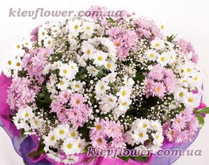 Glade of pink and white chamomiles - Order bouquets of flowers with delivery in KievFlower. 