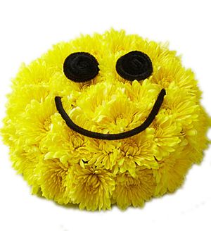 Daisy Smiley Composition Buy with Delivery in Ukraine