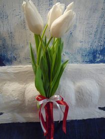 7 tulips