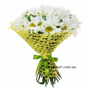 Букет из 35 ромашек — KievFlower - flowers to Kiev & Ukraine 
