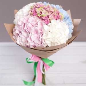 Bouquet of 7 multi-colored hydrangeas — KievFlower - flowers to Kiev & Ukraine 