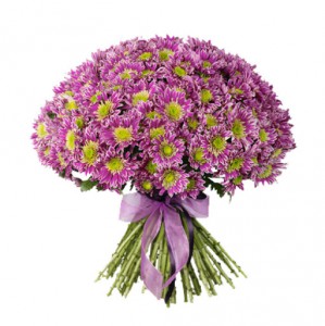Bouquet of 51 branches of pink chrysanthemum — KievFlower - flowers to Kiev & Ukraine 