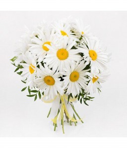 Bouquet of 11 Garden Daisies with Delivery — Simple Summer Flowers